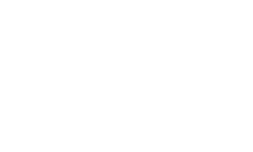 White, small buckle strap icon representing one of the car attachments included with the Roadie Pro. 